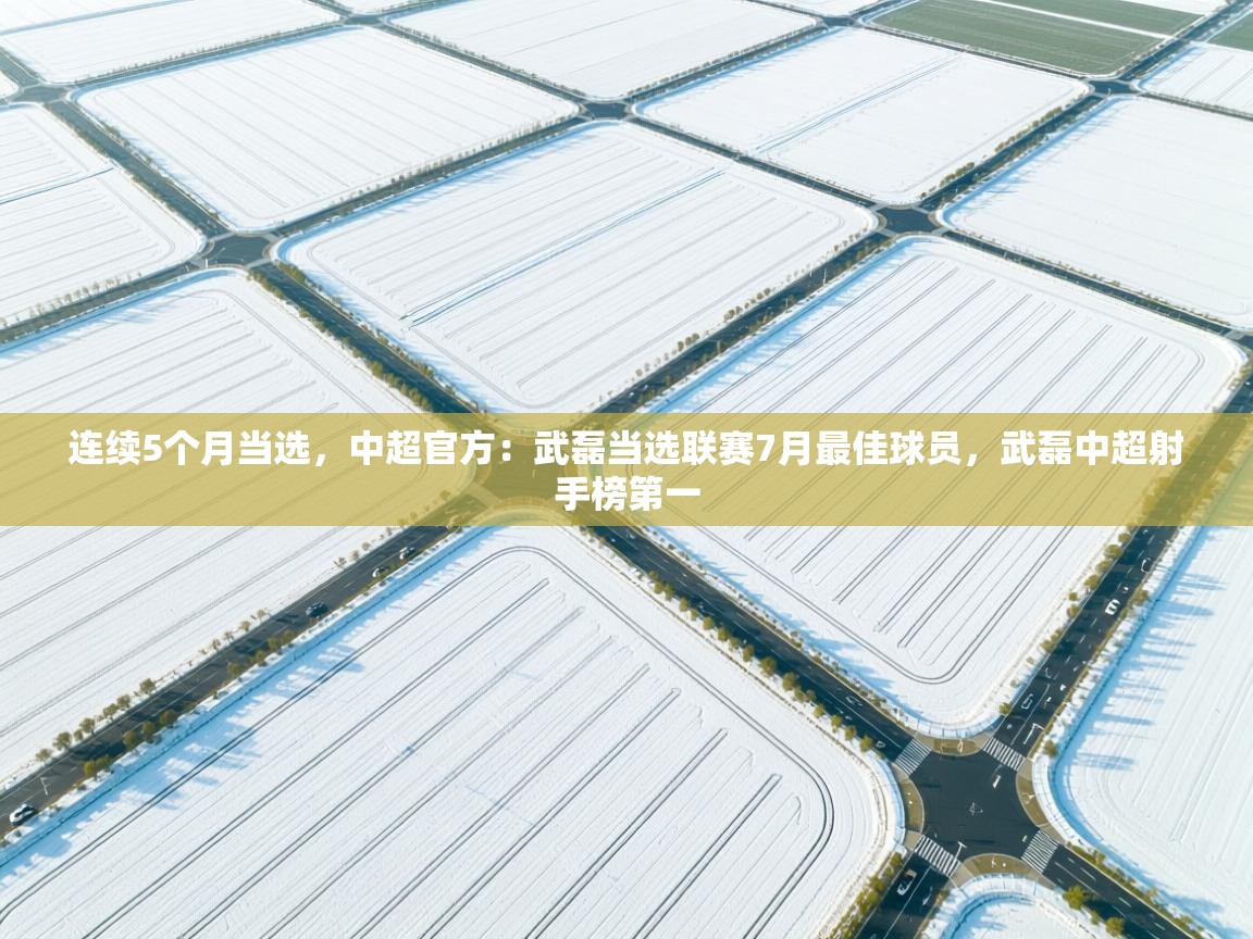 蓝鲸体育app下载-连续5个月当选,中超官方:武磊当选联赛7月最佳球员,武磊中超射手榜第一 第2张