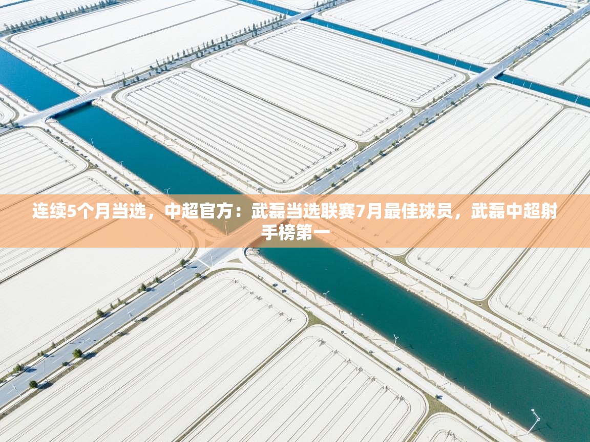 蓝鲸体育app下载-连续5个月当选,中超官方:武磊当选联赛7月最佳球员,武磊中超射手榜第一 第4张