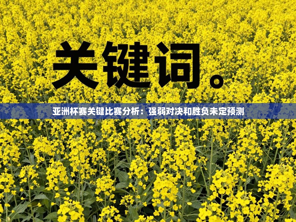 鲸蓝体育平台-亚洲杯赛关键比赛分析:强弱对决和胜负未定预测 第3张