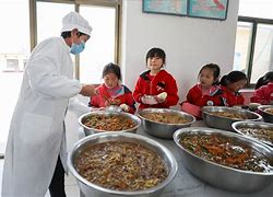 斯图加特着手营养改善计划，全队管理有序的简单介绍